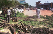 To fast-track infrastructure projects, AAP govt wants to tweak Delhis green laws